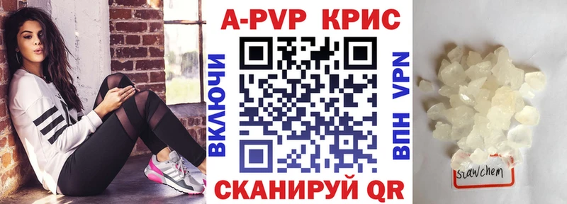 блэк спрут вход  Новороссийск  Alfa_PVP СК 