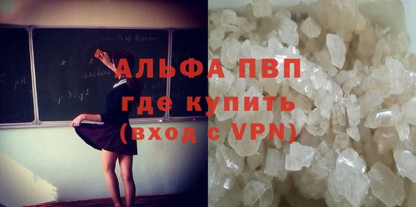 крисы Бородино