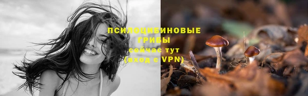 дурь Верхнеуральск