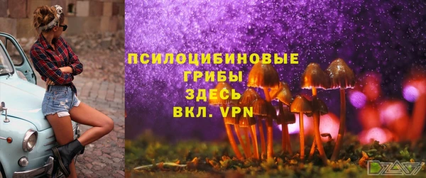 не бодяженный Верхний Тагил
