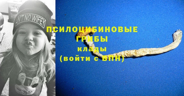 не бодяженный Верхний Тагил