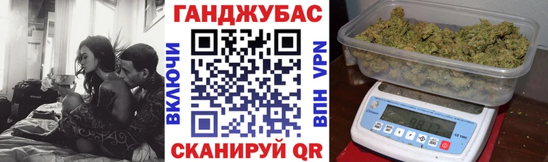 купить наркоту  гидра ссылка  Бошки Шишки сатива  Новороссийск 